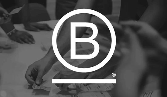 Avanzamos hacia la certificación como empresa B Corp Avanzamos hacia la certificación como empresa B Corp